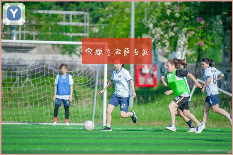 2022至2023赛季CBA共多少轮联赛安排与赛程看点解析